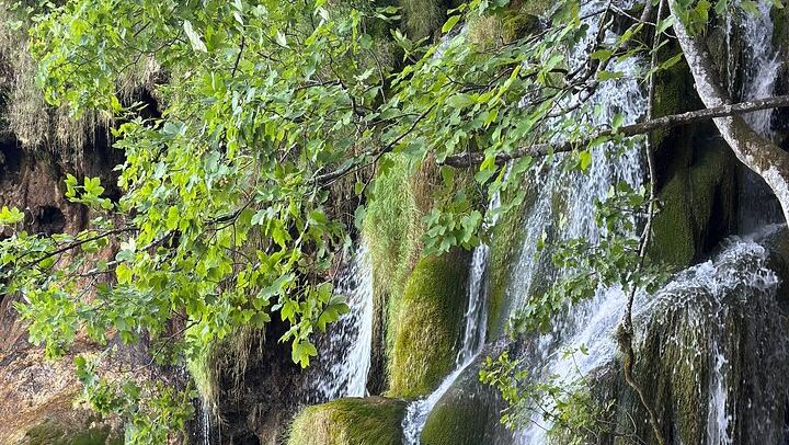 Plitvice Lakes Private Day Tour from Zadar for 1 to 4 Guests, Admission Included (3/12)