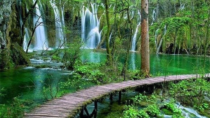 Private or Semi-Private Plitvice Lakes Tour from Split with Local Guide (4/12)