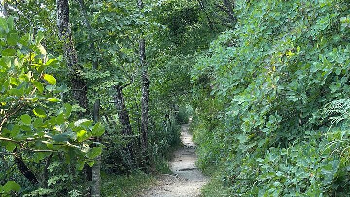 Plitvice Lakes Private Day Tour from Zadar for 1 to 4 Guests, Admission Included (4/12)