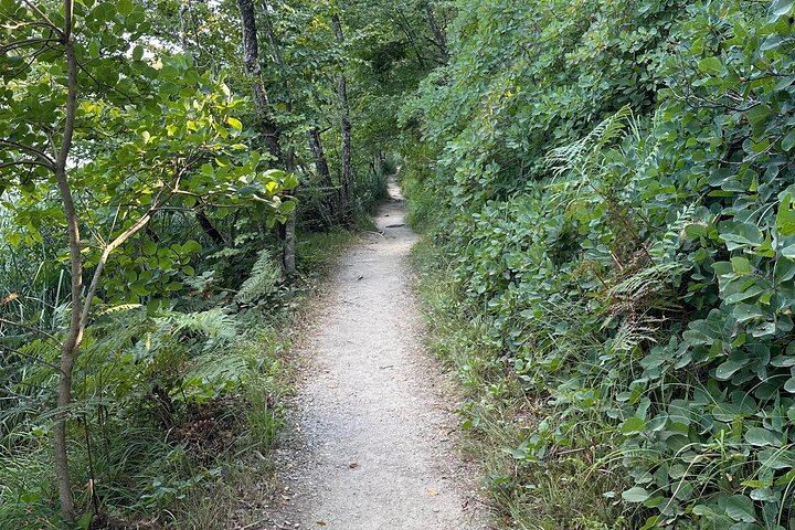 Plitvice Lakes Private Day Tour from Zadar for 1 to 4 Guests, Admission Included (9/12)