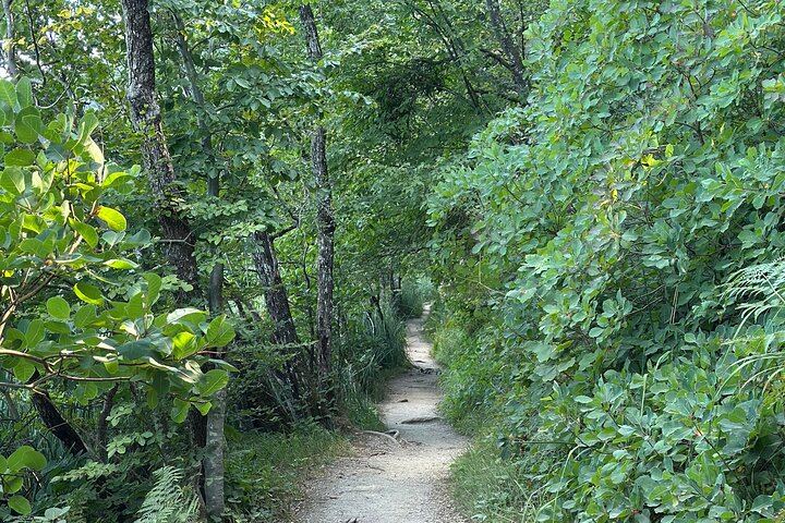 Plitvice Lakes Private Day Tour from Zadar for 1 to 4 Guests, Admission Included (4/12)