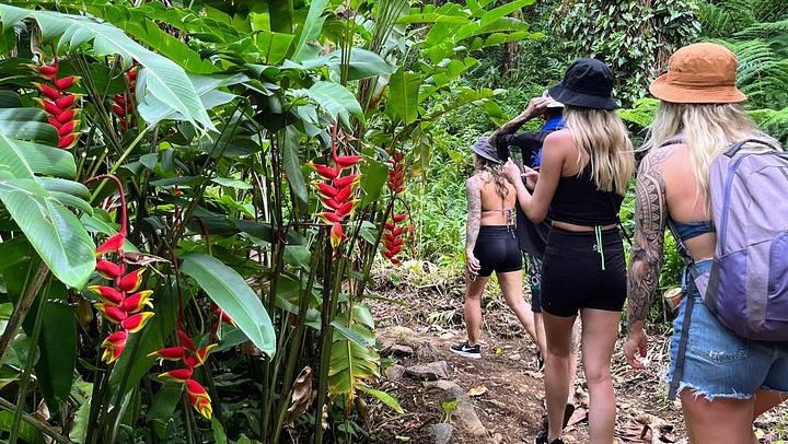 Magic of Maui Private Road to Hana Tour: Black Sand Beach, Waterfalls and Turtles (2/12)