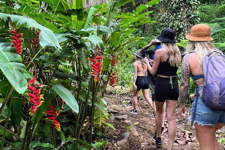Magic of Maui Private Road to Hana Tour: Black Sand Beach, Waterfalls and Turtles (2/12)