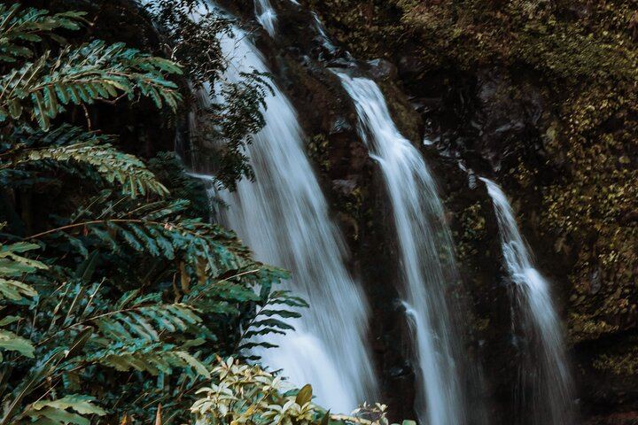Magic of Maui Private Road to Hana Tour: Black Sand Beach, Waterfalls and Turtles (5/12)