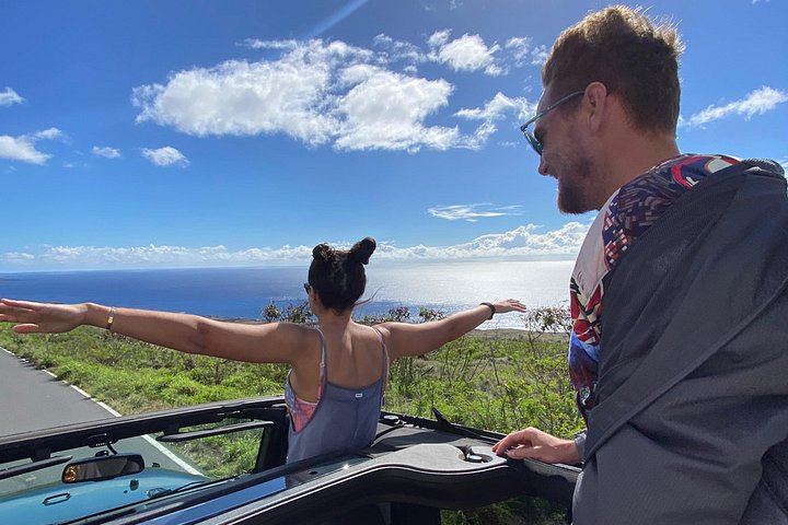 Magic of Maui Private Road to Hana Tour: Black Sand Beach, Waterfalls and Turtles (4/12)
