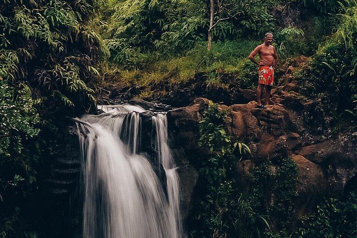 Magic of Maui Private Road to Hana Tour: Black Sand Beach, Waterfalls and Turtles (11/12)