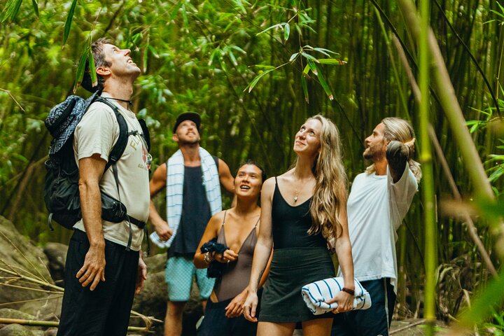 Local Maui Tours Private Road to Hana: Waterfall Swim, Hamoa Beach and Black Sand (1/12)
