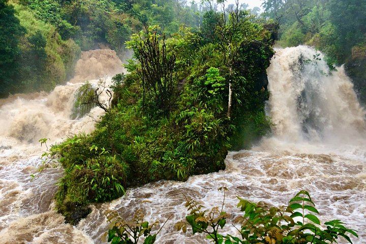 Local Maui Tours Private Road to Hana: Waterfall Swim, Hamoa Beach and Black Sand (7/12)