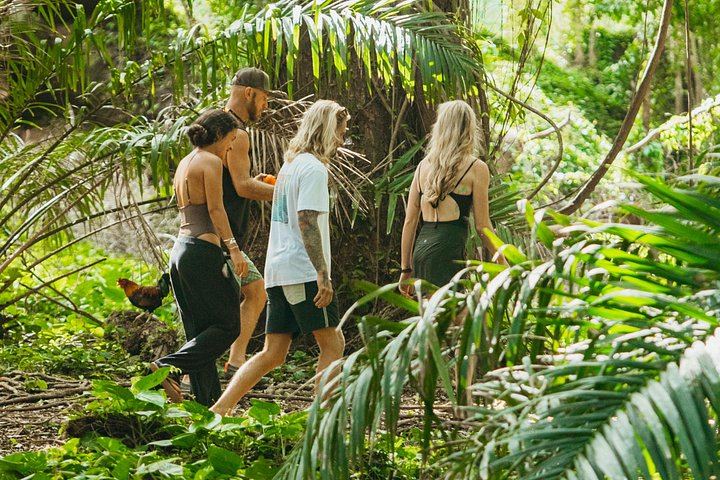 Local Maui Tours Private Road to Hana: Waterfall Swim, Hamoa Beach and Black Sand (2/12)