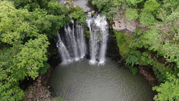Private Bijagua Rainforest Reserve, Llanos del Cortés and Corobicí River Safari Float (1/12)