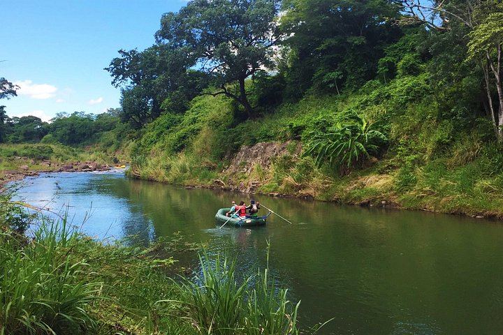 Private Bijagua Rainforest Reserve, Llanos del Cortés and Corobicí River Safari Float (10/12)