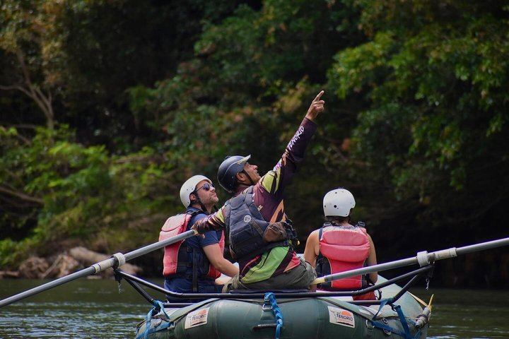 Private Bijagua Rainforest Reserve, Llanos del Cortés and Corobicí River Safari Float (11/12)