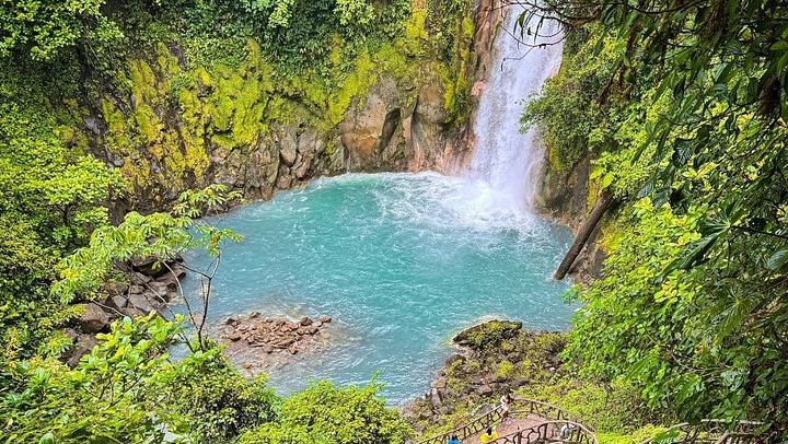 Private Rio Celeste Hike and Bijagua Sloth Reserve Tour for 4 to 22 Guests (4/12)