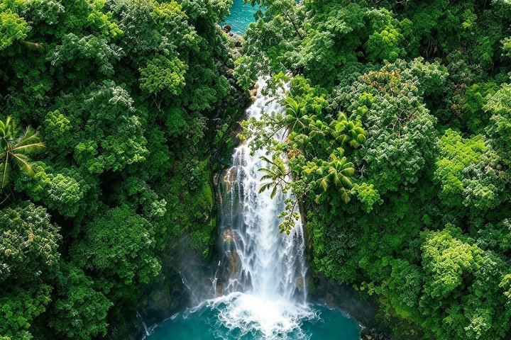 Private Rio Celeste Hike and Bijagua Sloth Reserve Tour for 4 to 22 Guests (1/12)