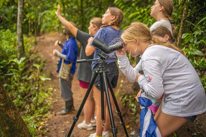 Private Rio Celeste Hike and Bijagua Sloth Reserve Tour for 4 to 22 Guests (8/12)