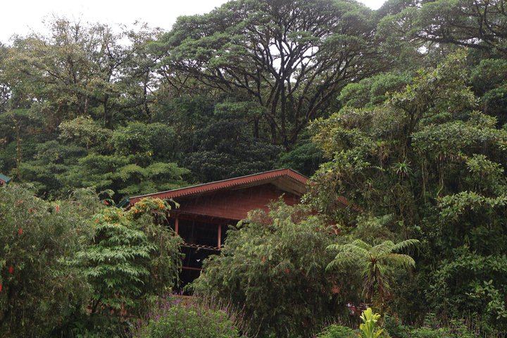 Private Rio Celeste Hike and Bijagua Sloth Reserve Tour for 4 to 22 Guests (6/12)