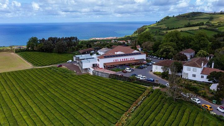 Private Customized Tour of Five Waterfalls, North Coast and Northeast, Sao Miguel (2/7)