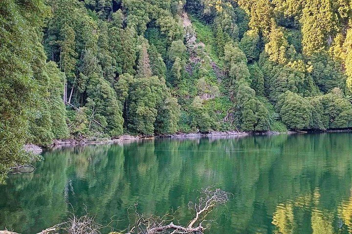 Private Customized Tour of Five Waterfalls, North Coast and Northeast, Sao Miguel (1/7)