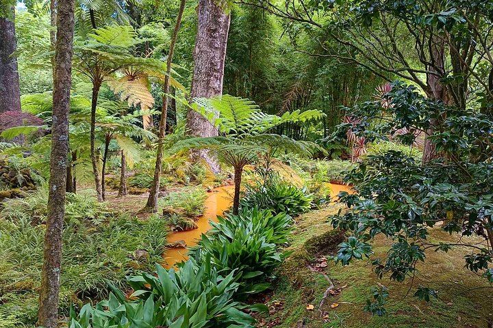 Private Customized Tour of Five Waterfalls, North Coast and Northeast, Sao Miguel (5/7)