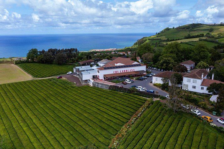 Private Customized Tour of Five Waterfalls, North Coast and Northeast, Sao Miguel (2/7)