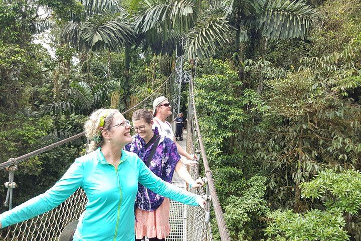 Private Arenal Day with Hanging Bridges, La Fortuna Waterfall, Volcano Hike and Lunch (12/12)