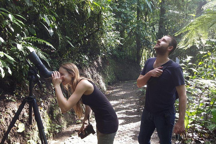 Private Arenal Day with Hanging Bridges, La Fortuna Waterfall, Volcano Hike and Lunch (11/12)