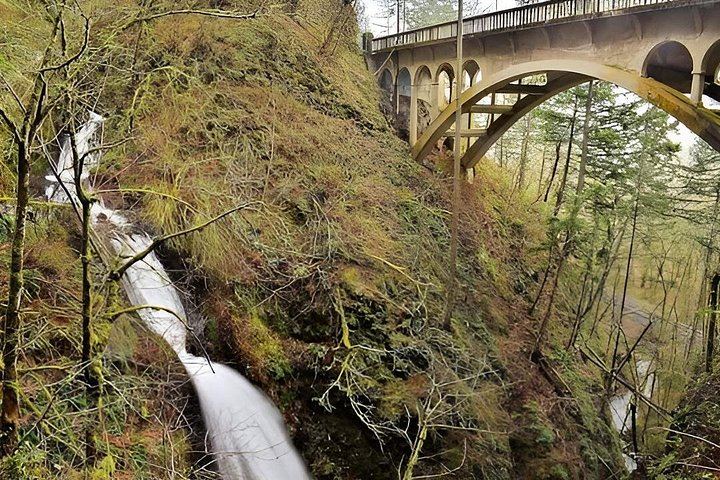 Private Multnomah Falls and Columbia Gorge Tour with Lunch Stop at the Lodge (6/12)
