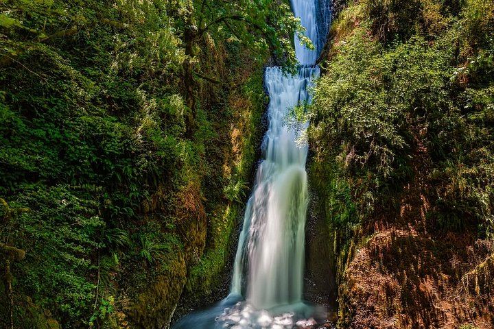 Private Multnomah Falls and Columbia Gorge Tour with Lunch Stop at the Lodge (7/12)