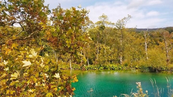 Plitvice Lakes Private Small-Group Tour from Zadar for Cruise Guests and Families (2/12)