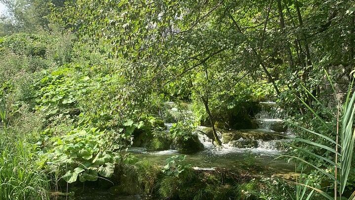 Plitvice Lakes Private Small-Group Tour from Zadar for Cruise Guests and Families (4/12)
