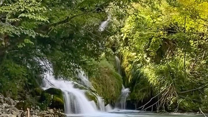 Plitvice Lakes Private Small-Group Tour from Zadar for Cruise Guests and Families (3/12)