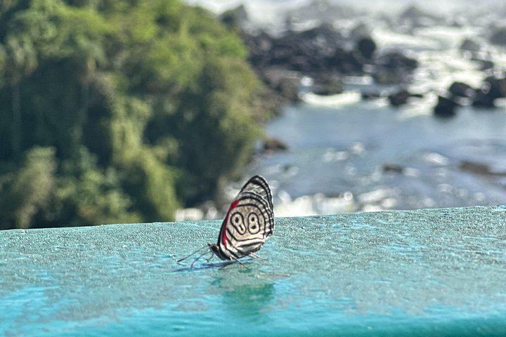 Private Tour of Iguazu Falls, Both Sides, with Bird Park Visit and Macuco Safari Option (9/10)