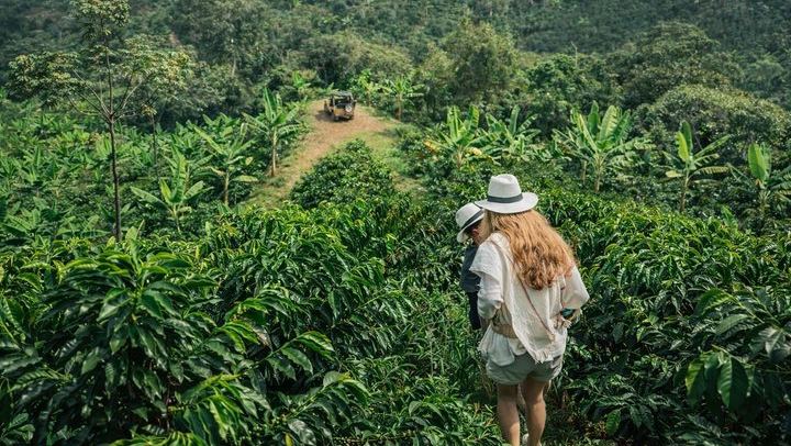 Private Day Tour to Jardín: Willys Jeep to Waterfalls, Coffee and Town Square (1/12)