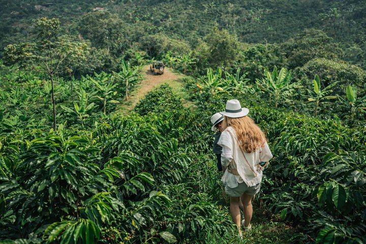 Private Day Tour to Jardín: Willys Jeep to Waterfalls, Coffee and Town Square (1/12)
