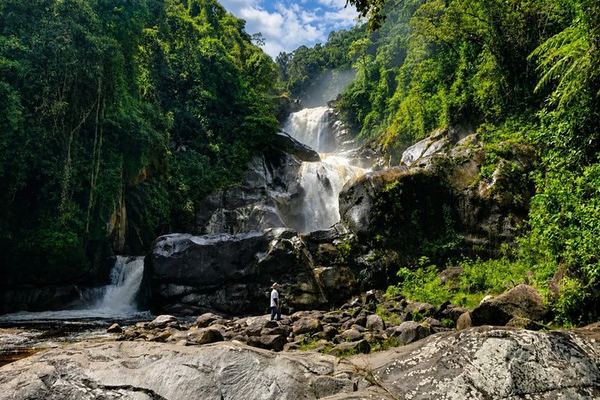 Private Day Tour to Jardín: Willys Jeep to Waterfalls, Coffee and Town Square
