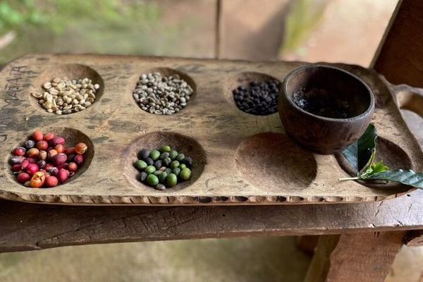 Private Marangu Waterfalls Tour with Coffee Making, Banana Beer and Kikuletwa Hot Springs