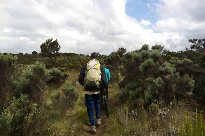 Private Marangu Waterfalls Tour with Coffee Making, Banana Beer and Kikuletwa Hot Springs (6/6)