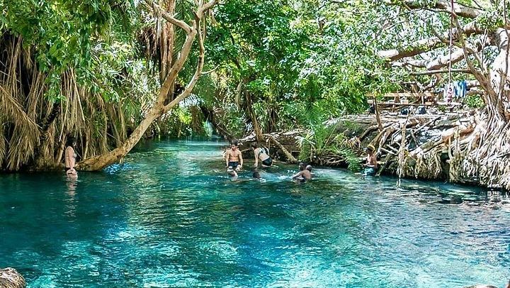 Private Materuni Waterfall Hike, Coffee Farm and Kikuletwa Hot Springs Tour from Moshi (2/12)