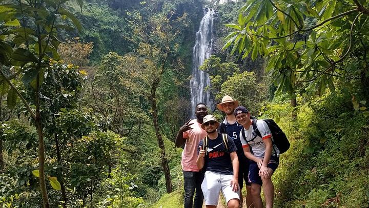 Private Materuni Waterfall Hike, Coffee Farm and Kikuletwa Hot Springs Tour from Moshi (1/12)
