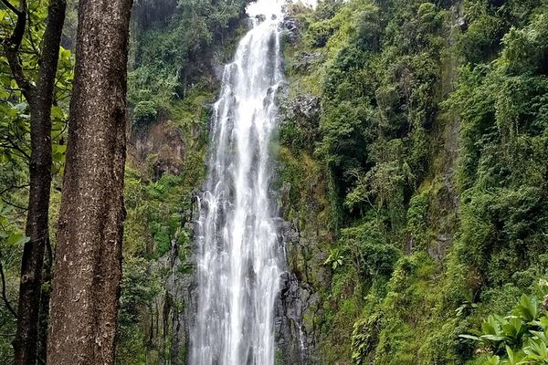 Private Materuni Waterfall Hike, Coffee Farm and Kikuletwa Hot Springs Tour from Moshi
