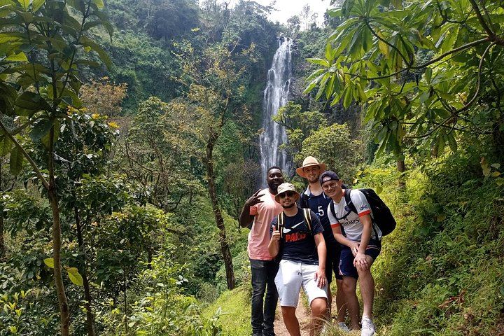 Private Materuni Waterfall Hike, Coffee Farm and Kikuletwa Hot Springs Tour from Moshi (1/12)