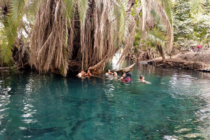 Private Materuni Waterfall Hike, Coffee Farm and Kikuletwa Hot Springs Tour from Moshi (9/12)