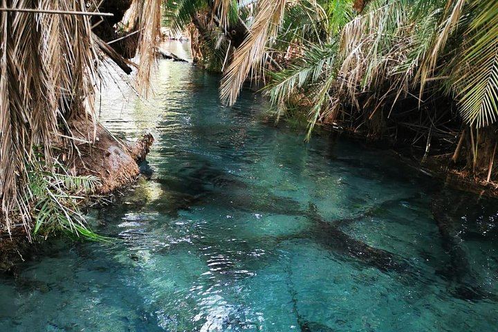 Private Materuni Waterfall Hike, Chagga Lunch and Coffee Tour with Entrance Fees Included (5/12)