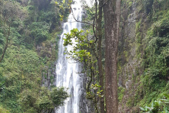 Private Materuni Waterfall Hike, Chagga Lunch and Coffee Tour with Entrance Fees Included (9/12)