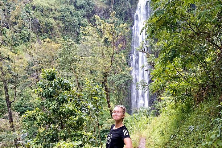 Private Materuni Waterfall Hike, Coffee Farm and Kikuletwa Hot Springs Tour from Moshi (6/12)
