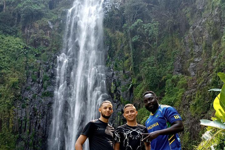 Private Materuni Waterfall Hike, Coffee Farm and Kikuletwa Hot Springs Tour from Moshi (10/12)