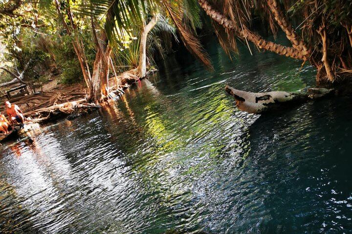 Private Materuni Waterfall Hike, Chagga Lunch and Coffee Tour with Entrance Fees Included (7/12)