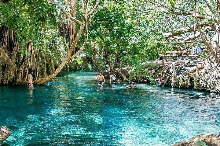 Private Materuni Waterfall Hike, Coffee Farm and Kikuletwa Hot Springs Tour from Moshi (2/12)
