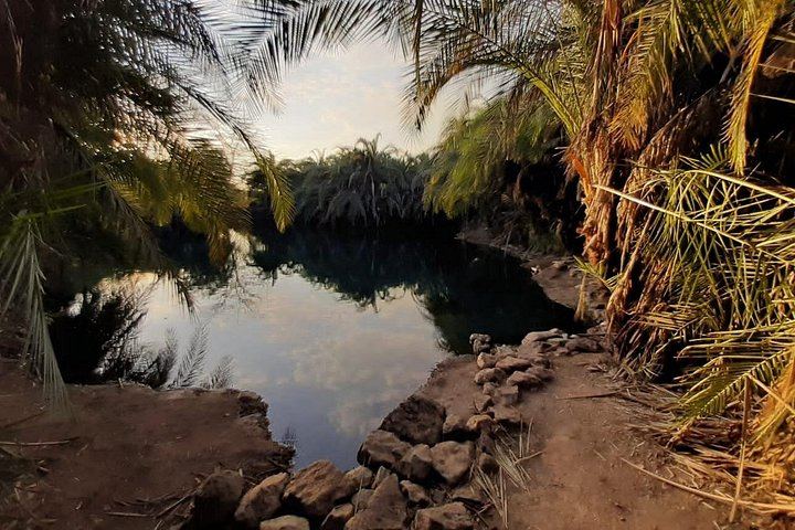 Private Materuni Waterfall Hike, Chagga Lunch and Coffee Tour with Entrance Fees Included (6/12)