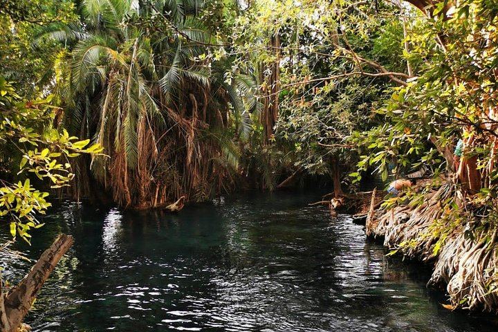 Private Materuni Waterfall Hike, Chagga Lunch and Coffee Tour with Entrance Fees Included (8/12)